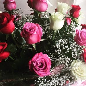 Meet your Posher, Fern